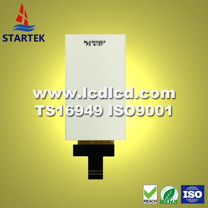 KD030FWFIN021 Back logo.jpg