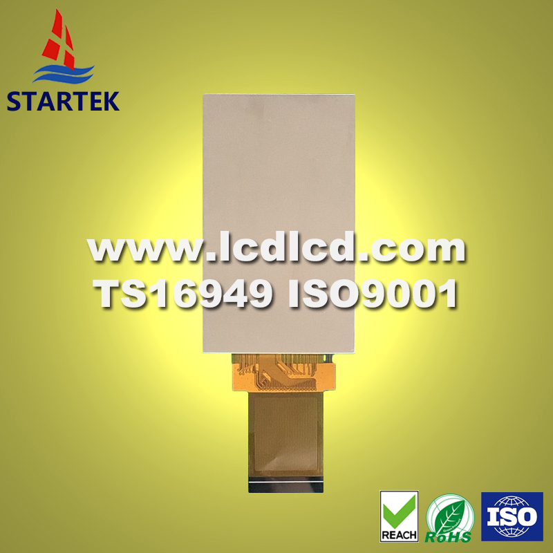 KD031WVFPD002 BACK-LOGO.jpg