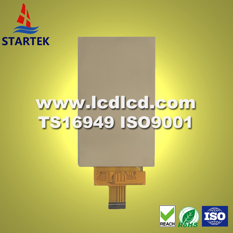 KD031WVFID001 BACK LOGO.jpg