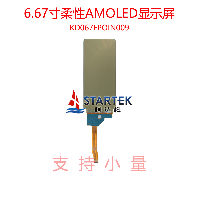 中文 背面.jpg